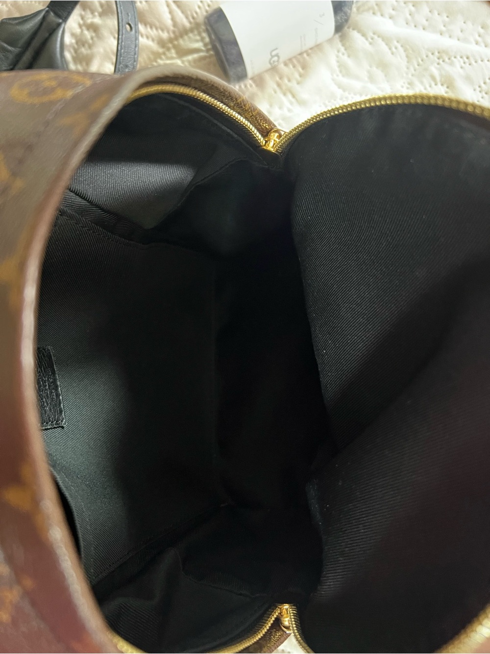 Louis Vuitton Monogram Palm Springs PM Backpack - Picture 14 of 16